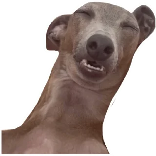 🙃