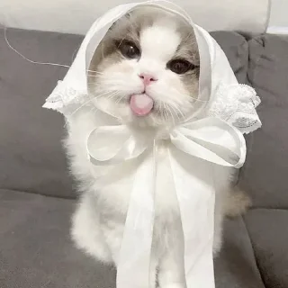 😝
