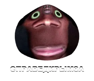 🌰