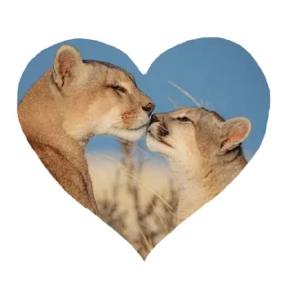 ☺