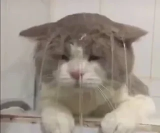 😭