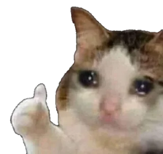 😢