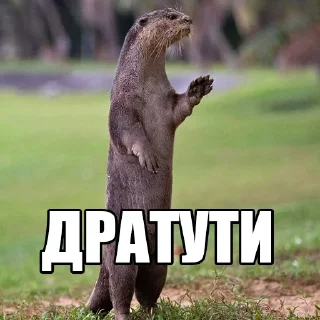👋