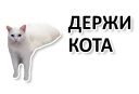 🐈