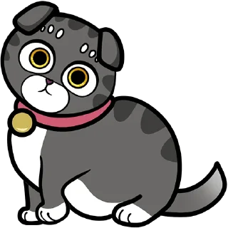 🐈‍⬛