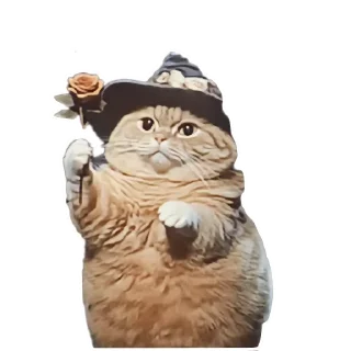 🐱