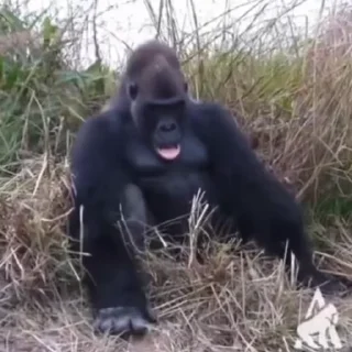 🤯