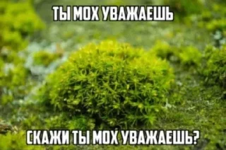 🧂