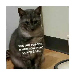 🥺