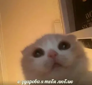 ❤️