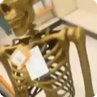 💀