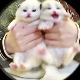 😵