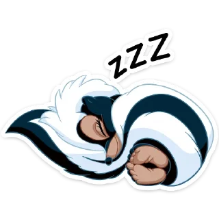 💤