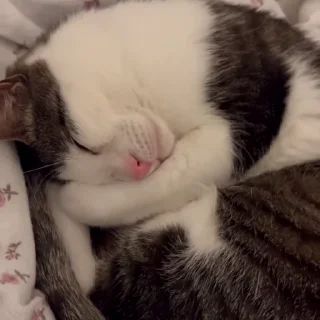 🥱