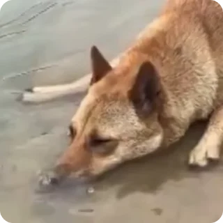 😤