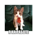 👔