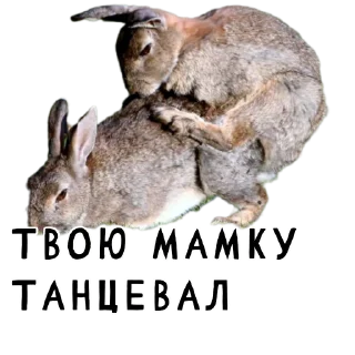 🔞