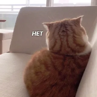 😡