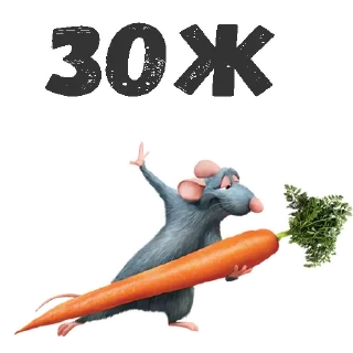 🥕