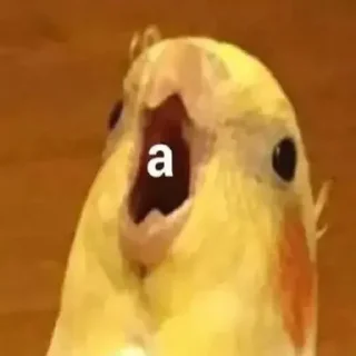 🔤