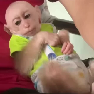 ☺️