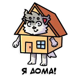 🏠