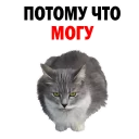 😂