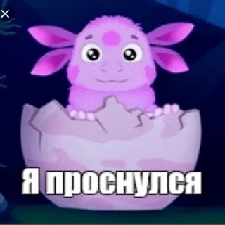 ✋