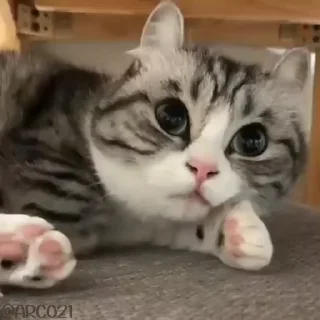 😪