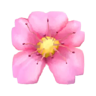 🌸