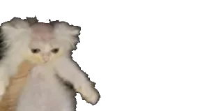 😶
