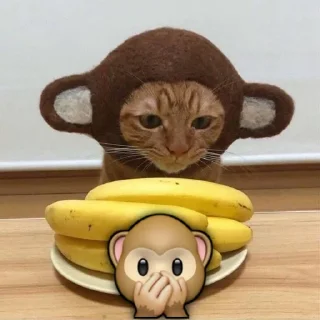 🙊
