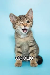 👍