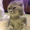 😠