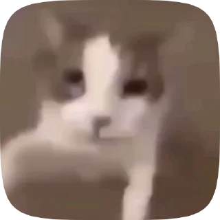 💋