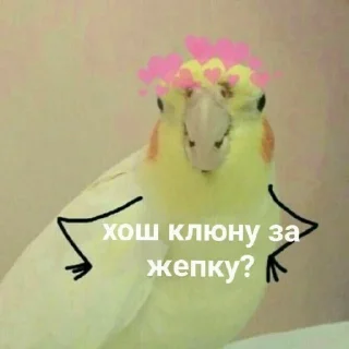 😏