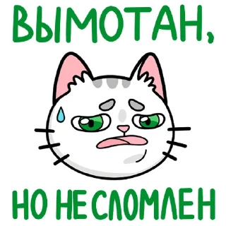 Полисорб