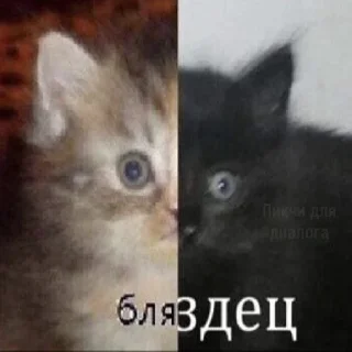 👦