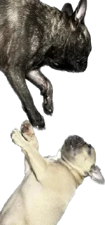 🤝