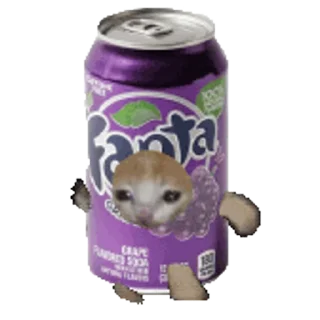 🥫