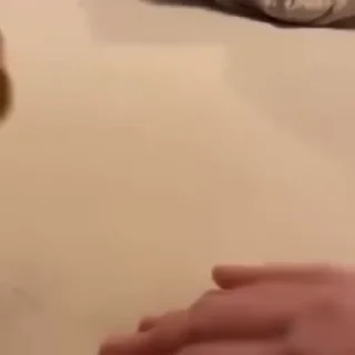 👊