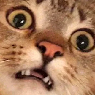 😨