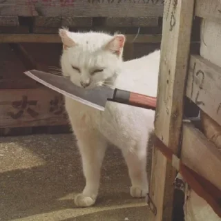 😈