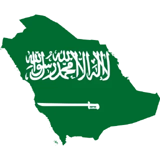 🇸🇦
