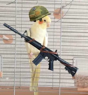 🔫
