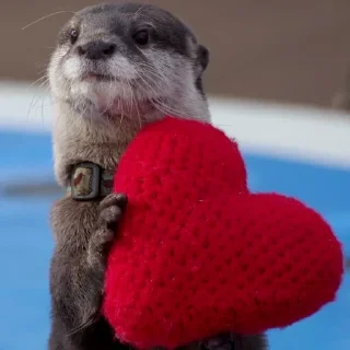 🥰