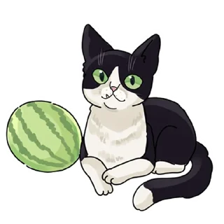 🍉