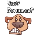 🐶