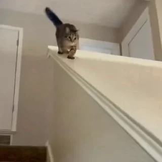 🤩