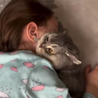 🐱